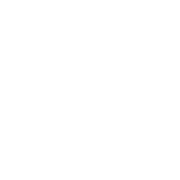 icone paiement sécurisé